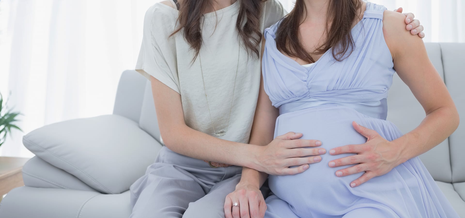 Barriga de aluguel Dra. Rosane Rodrigues Especialista em Reprodução Humana SP