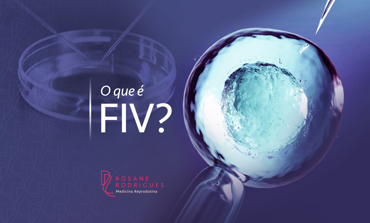 O que é FIV?